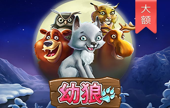 一肖中特免费资料公开选料最新版